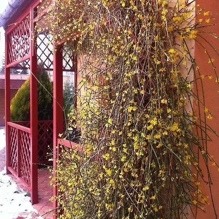 Διαμέρισμα Otium